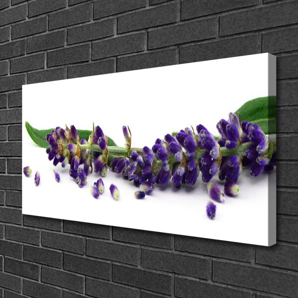 Stampa quadro su tela Natura morta di lavanda 100x50 cm