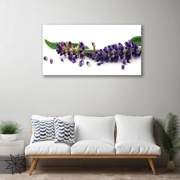 Stampa quadro su tela Natura morta di lavanda 100x50 cm