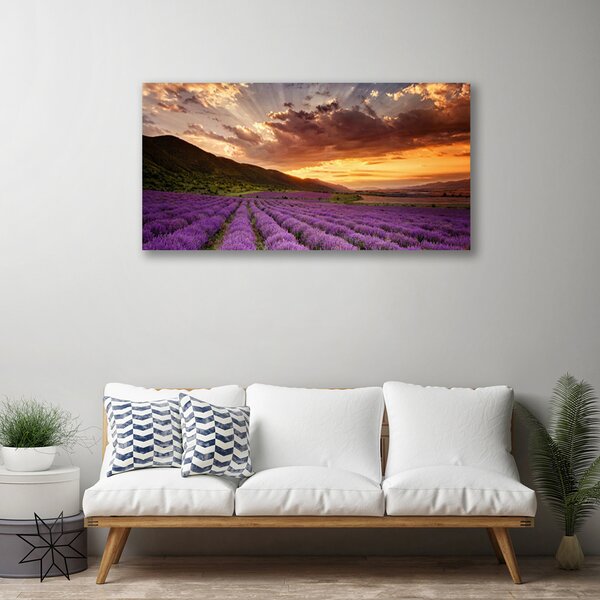 Quadro su tela Tramonto sul campo di lavanda 100x50 cm