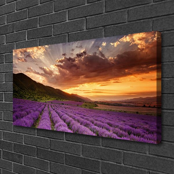 Quadro su tela Tramonto sul campo di lavanda 100x50 cm