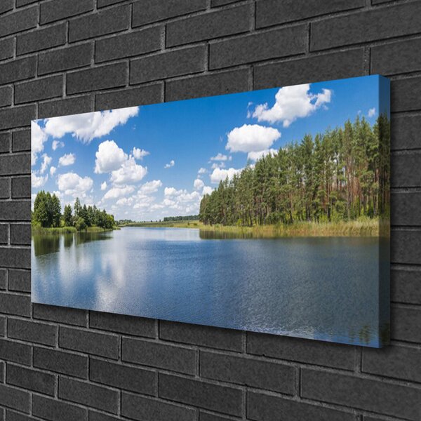 Quadro su tela Paesaggio della foresta del lago 100x50 cm