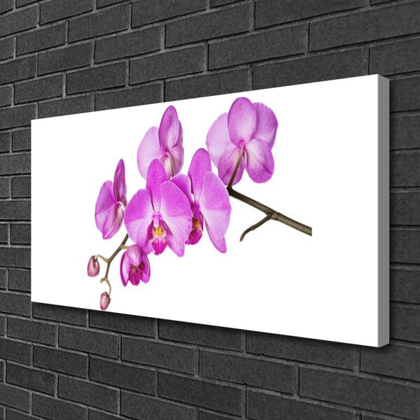 Quadro su tela Orchidea Fiori di orchidea 100x50 cm