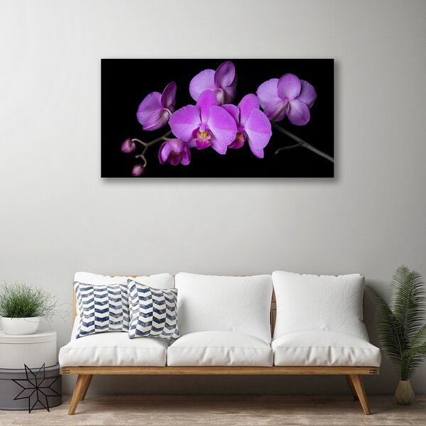 Quadro su tela Orchidea Fiori di orchidea 100x50 cm