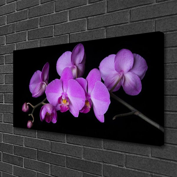 Quadro su tela Orchidea Fiori di orchidea 100x50 cm