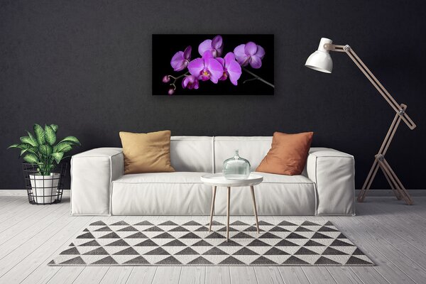 Quadro su tela Orchidea Fiori di orchidea 100x50 cm