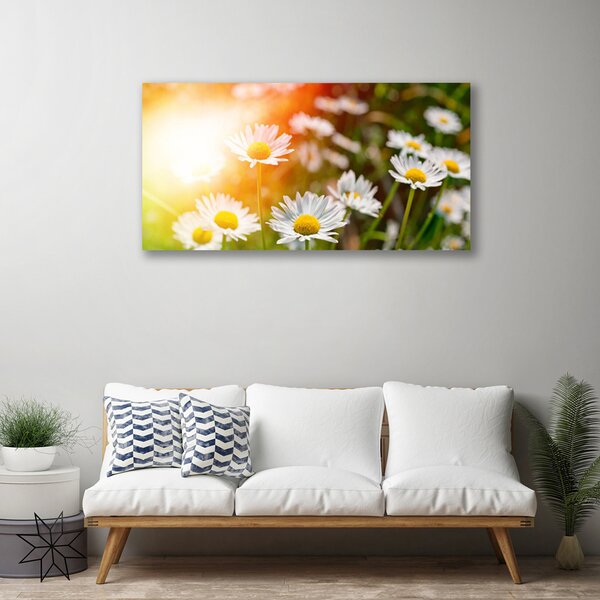 Quadro su tela Margherite Fiori Raggi 100x50 cm