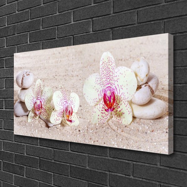 Quadro su tela Orchidea Orchidea Sabbia 100x50 cm