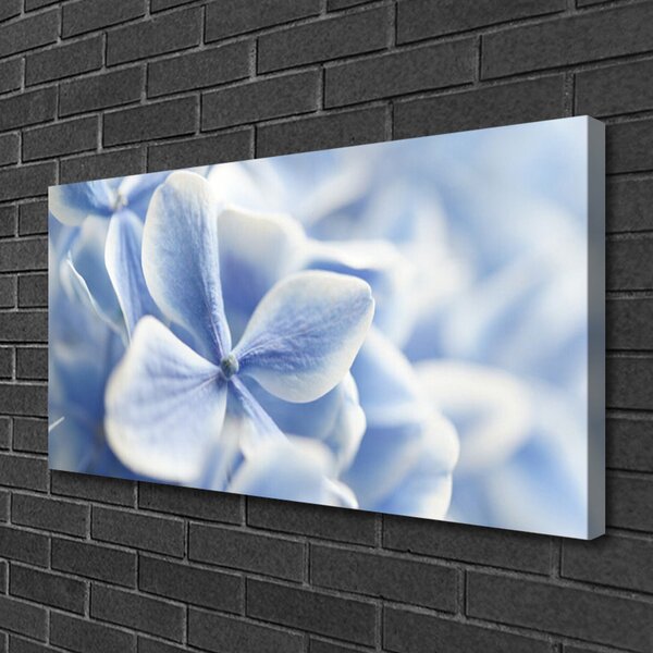Quadro su tela Fiori, petali, natura 100x50 cm