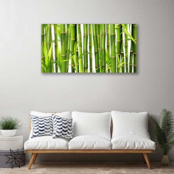 Quadro su tela Steli di bambù Foglie di bambù 100x50 cm