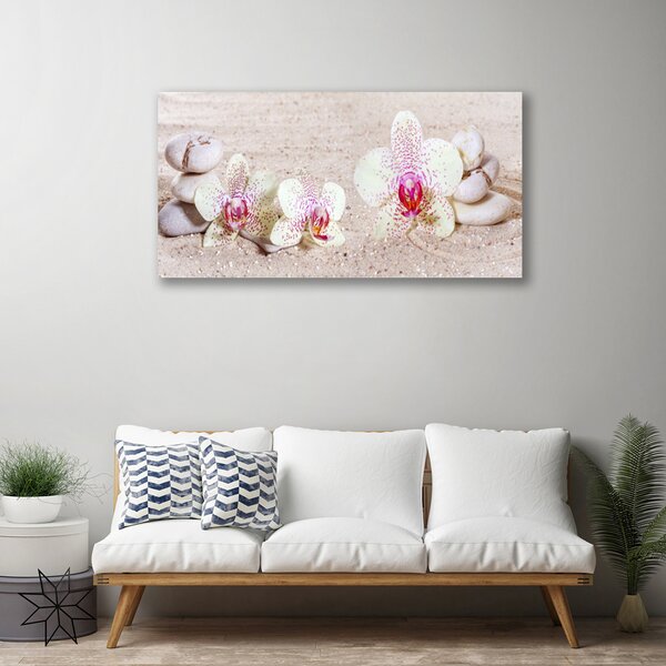 Quadro su tela Orchidea Orchidea Sabbia 100x50 cm