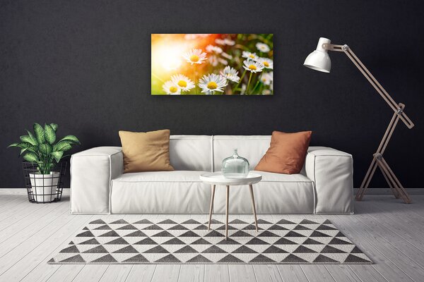 Quadro su tela Margherite Fiori Raggi 100x50 cm