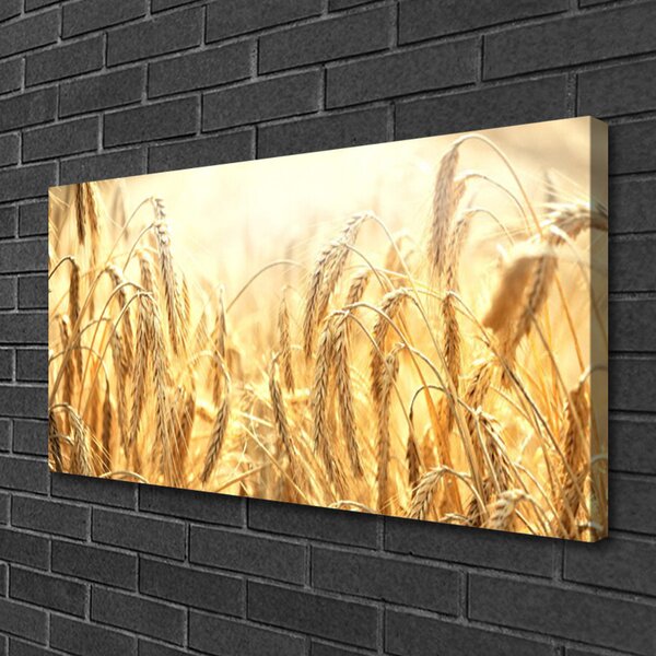 Foto quadro su tela Campo di cereali Orecchie Natura 100x50 cm
