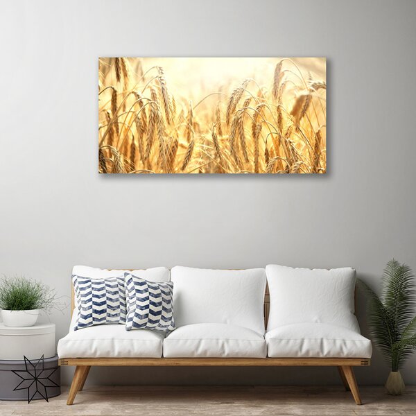 Foto quadro su tela Campo di cereali Orecchie Natura 100x50 cm