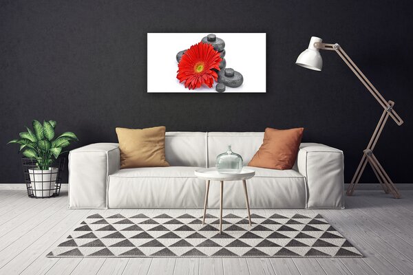 Quadro su tela Fiori di gerbera rossa 100x50 cm