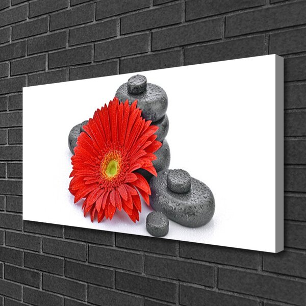 Quadro su tela Fiori di gerbera rossa 100x50 cm