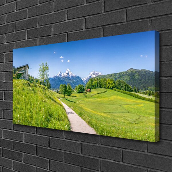 Quadro su tela Montagne. Prato. Sentiero. Valle 100x50 cm