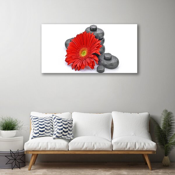 Quadro su tela Fiori di gerbera rossa 100x50 cm