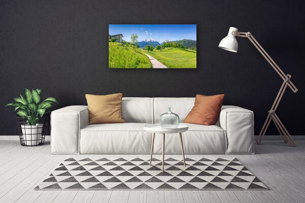 Quadro su tela Montagne. Prato. Sentiero. Valle 100x50 cm