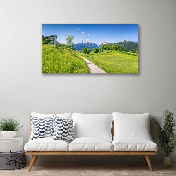 Quadro su tela Montagne. Prato. Sentiero. Valle 100x50 cm