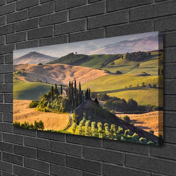 Quadro su tela Paesaggio dell'altopiano del Meadow Cottage 100x50 cm
