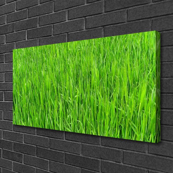 Quadro su tela Tappeto erboso dell'erba verde della natura 100x50 cm