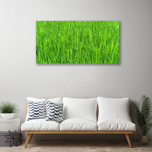 Quadro su tela Tappeto erboso dell'erba verde della natura 100x50 cm