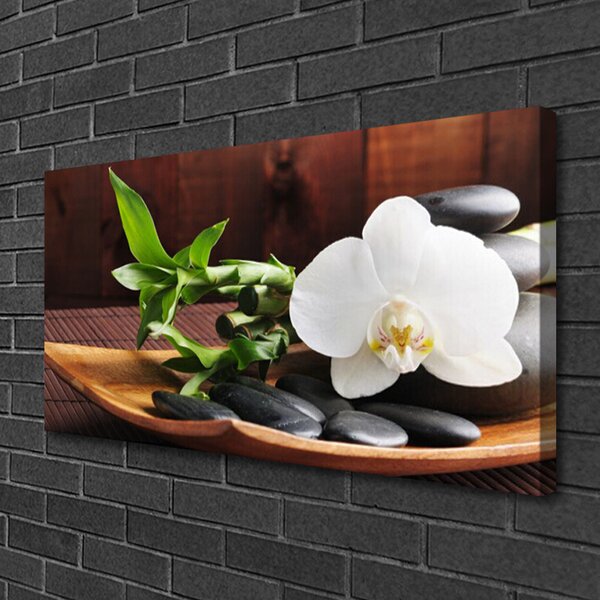 Quadro su tela Orchidea bianca di bambù Zen 100x50 cm