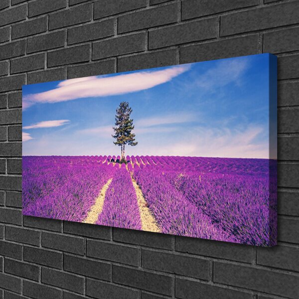 Stampa quadro su tela Albero del prato del campo di lavanda 100x50 cm