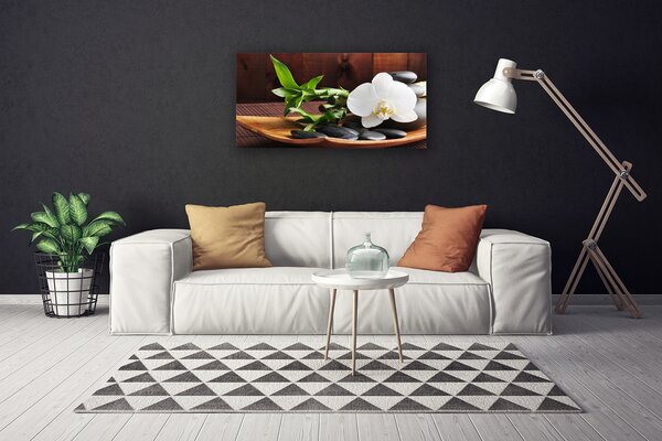 Quadro su tela Orchidea bianca di bambù Zen 100x50 cm