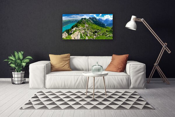 Quadro su tela Paesaggio della natura della montagna del prato 100x50 cm