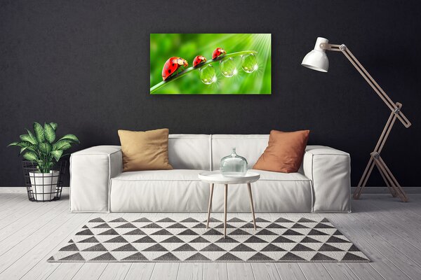 Quadro su tela Coccinelle Su Una Foglia Scende 100x50 cm