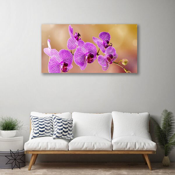 Foto quadro su tela Gambi di orchidea Fiori Natura 100x50 cm