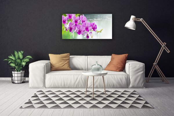 Quadro su tela Orchidee, gocce, natura 100x50 cm