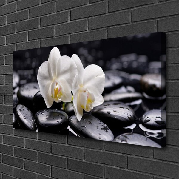 Quadro su tela Zen White Orchid Spa 100x50 cm