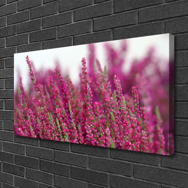 Quadro su tela Fiori. Prato. Natura 100x50 cm