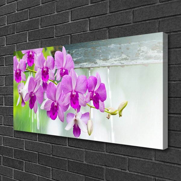 Quadro su tela Orchidee, gocce, natura 100x50 cm