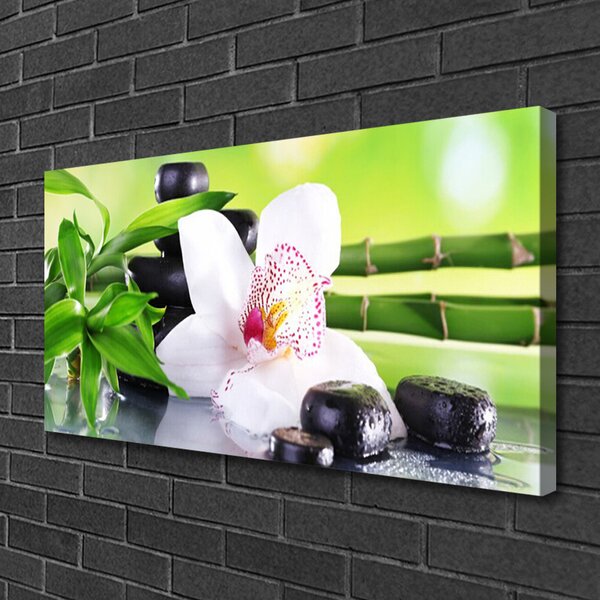 Quadro su tela Foglie di bambù dell'orchidea 100x50 cm
