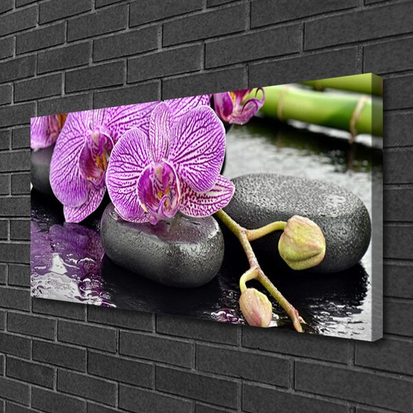 Quadro stampa su tela Orchidea Zen Orchidea Spa 100x50 cm