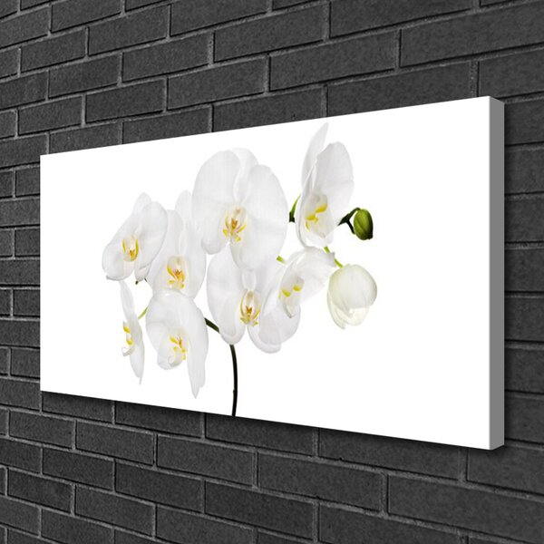 Quadro su tela Fiori di orchidea bianchi 100x50 cm
