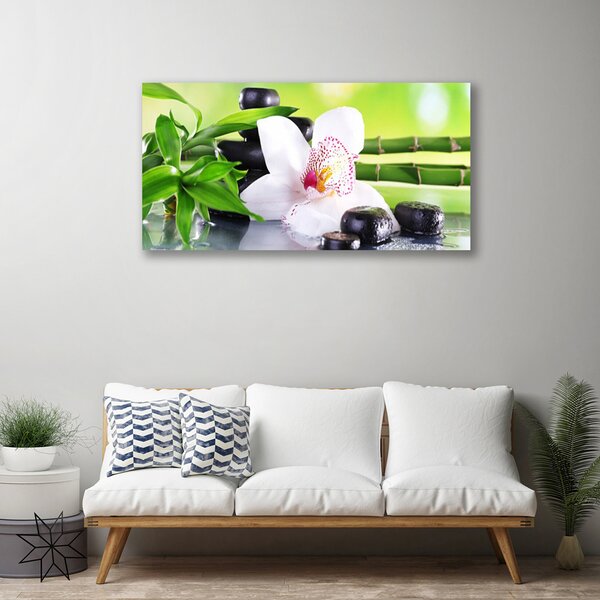 Quadro su tela Foglie di bambù dell'orchidea 100x50 cm