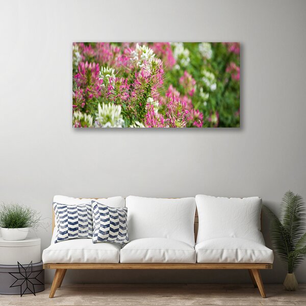 Foto quadro su tela Fiori di campo della natura 100x50 cm