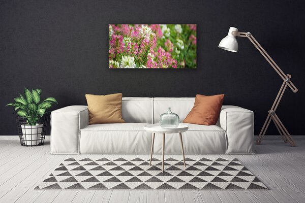 Foto quadro su tela Fiori di campo della natura 100x50 cm