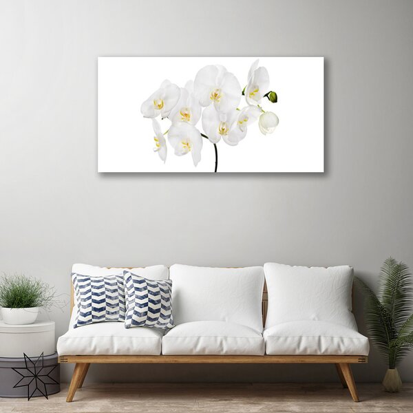 Quadro su tela Fiori di orchidea bianchi 100x50 cm