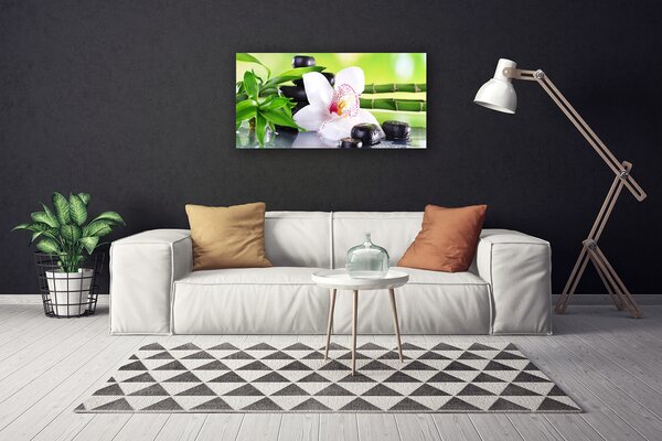 Quadro su tela Foglie di bambù dell'orchidea 100x50 cm