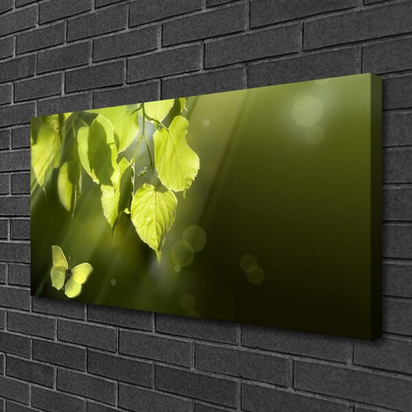 Quadro su tela Foglie, i raggi del sole 100x50 cm