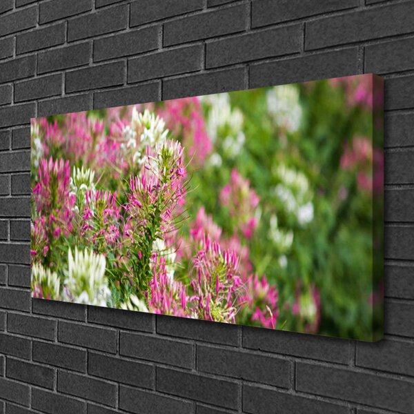 Foto quadro su tela Fiori di campo della natura 100x50 cm