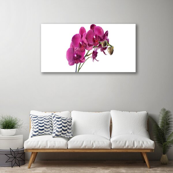 Quadro su tela Fiori di orchidea Natura 100x50 cm