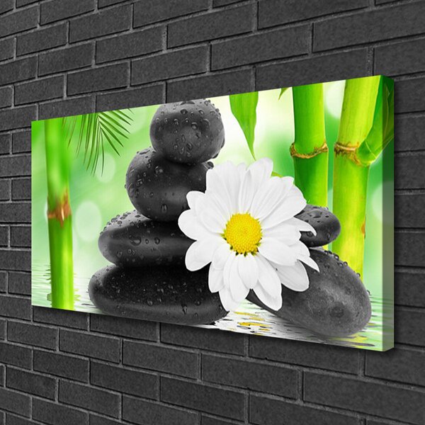 Quadro su tela Fiore di margherita di bambù 100x50 cm