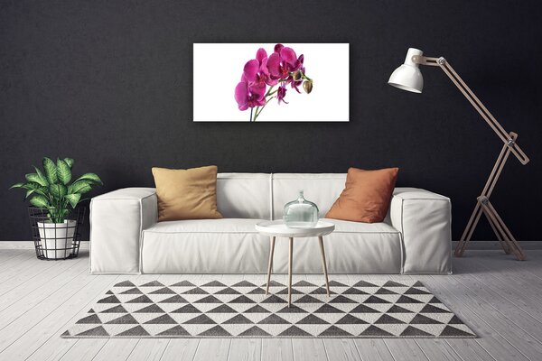 Quadro su tela Fiori di orchidea Natura 100x50 cm