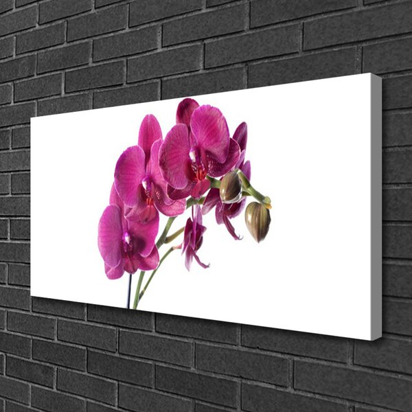 Quadro su tela Fiori di orchidea Natura 100x50 cm